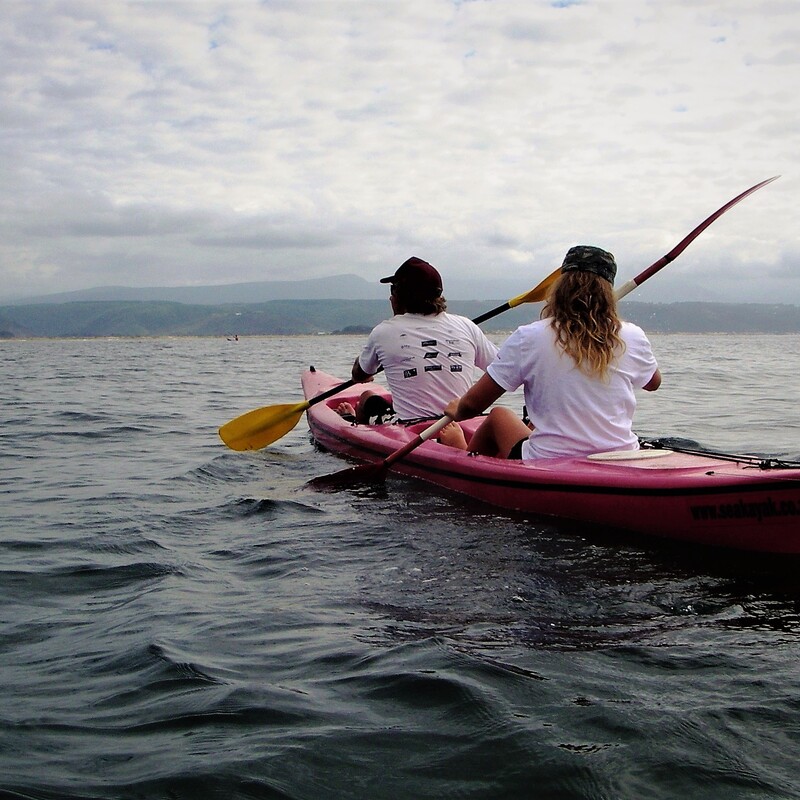 Ocean kayak tours ( 2008) 